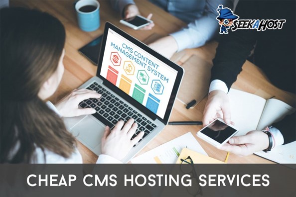 cms-hosting-für-cms-webseiten-mit-cms-programmen